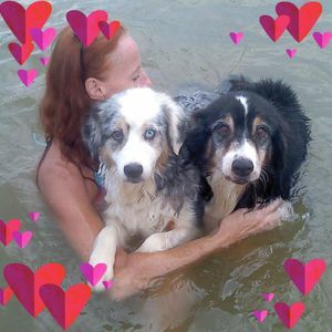 Meet your Posher, Suzie